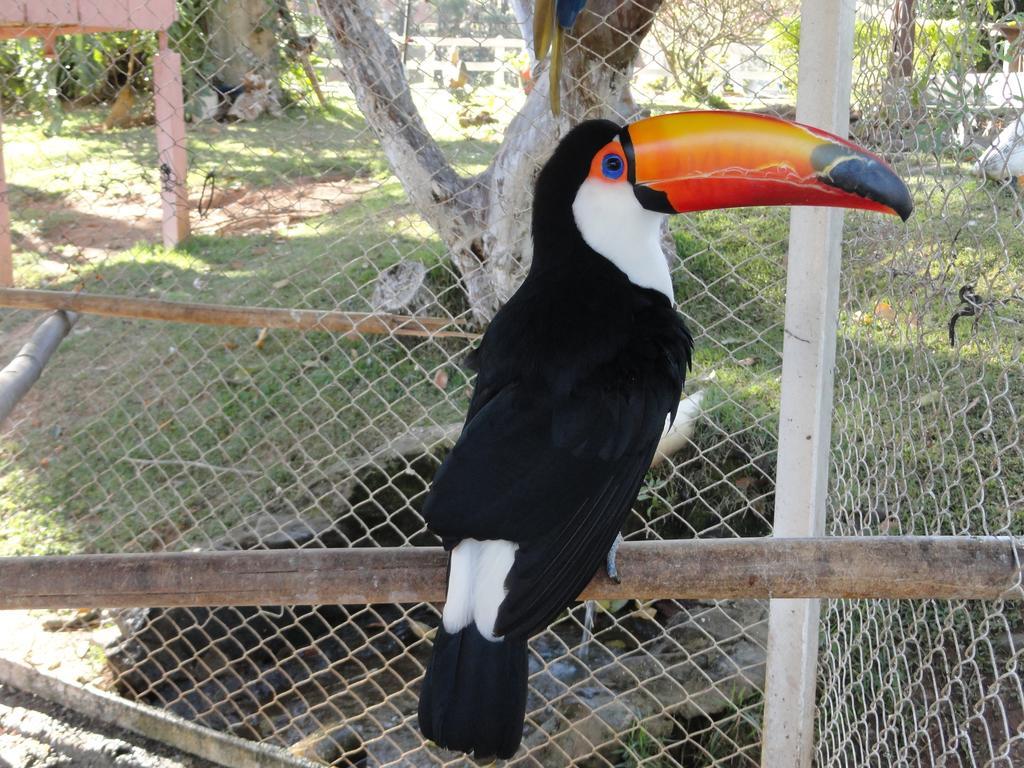 Hotel Fazenda Floresta Do Lago Сокорру Екстер'єр фото